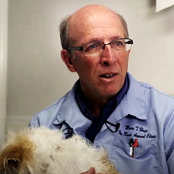 Voss Road Animal Hospital - Houston, Texas - Houston Vet - Veterinarian in  Houston, Texas